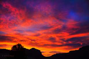 Zion Sunrise-4065.jpg Zion Sunrise-4065.jpg